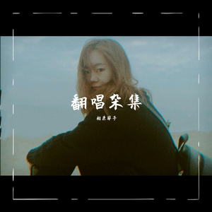 免费安全小豚导航
