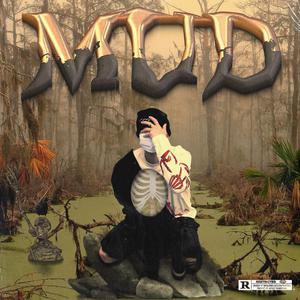 免费安全小豚导航
