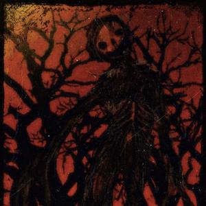 同性男晚上做那个视频
