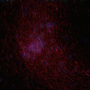 毛a粉嫩美丽少女加炮后入视频
