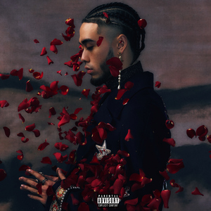 肉欲美妇高潮HD
