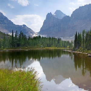 英国女人ZOZO性Zjj乱伦
