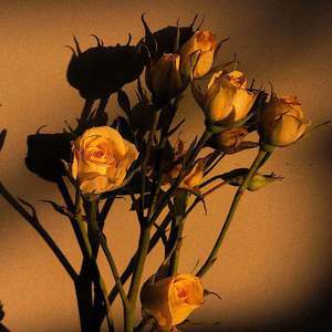 同性男晚上做那个视频
