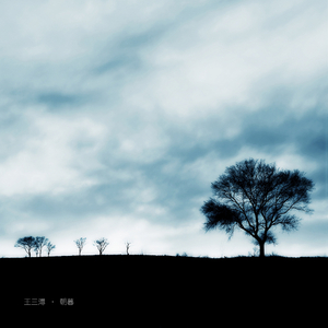 贵在真实 稀缺的
