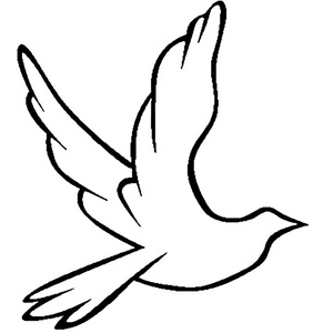 被❌到爽🔞流软国产
